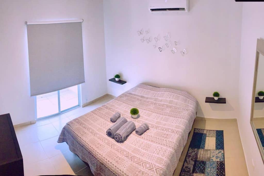 Luna Pacific Los Cabos - Condo Near Beach กาโบซานลูกัส ภายนอก รูปภาพ